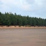 One day Trip to Baguran Jalpai, An Offbeat Beach in Medinipur, West Bengal.