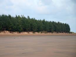 One day Trip to Baguran Jalpai, An Offbeat Beach in Medinipur, West Bengal.