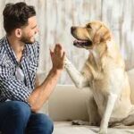 Why should We feed Dogs? Are there any Myths about it? Man's closest Friend is Dog.