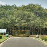 Acharya Jagadish Chandra Bose Indian Botanic Garden with the Great Banyan Tree, Couple Friendly Park