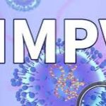HMPV Panic - A new demon is looking to destroy human civilization